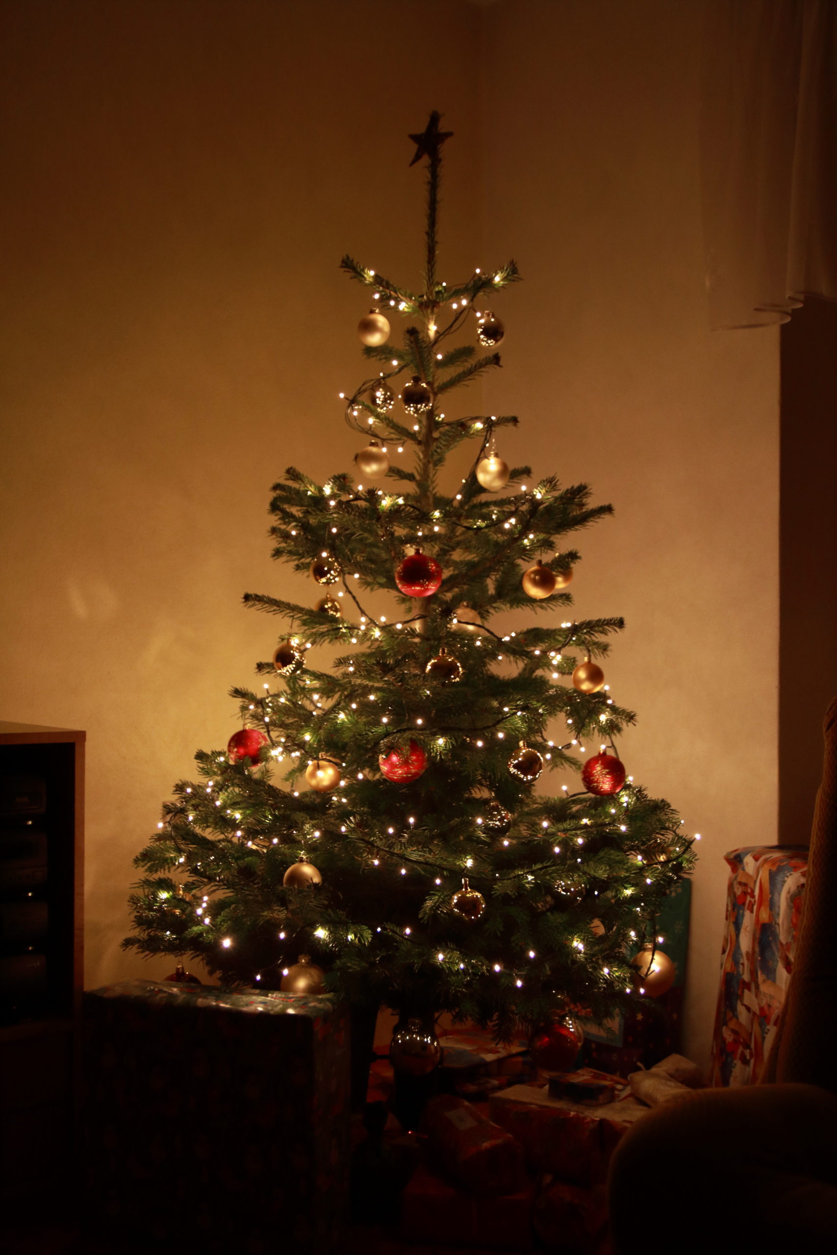 Choinka (fragment pracy magisterskiej)