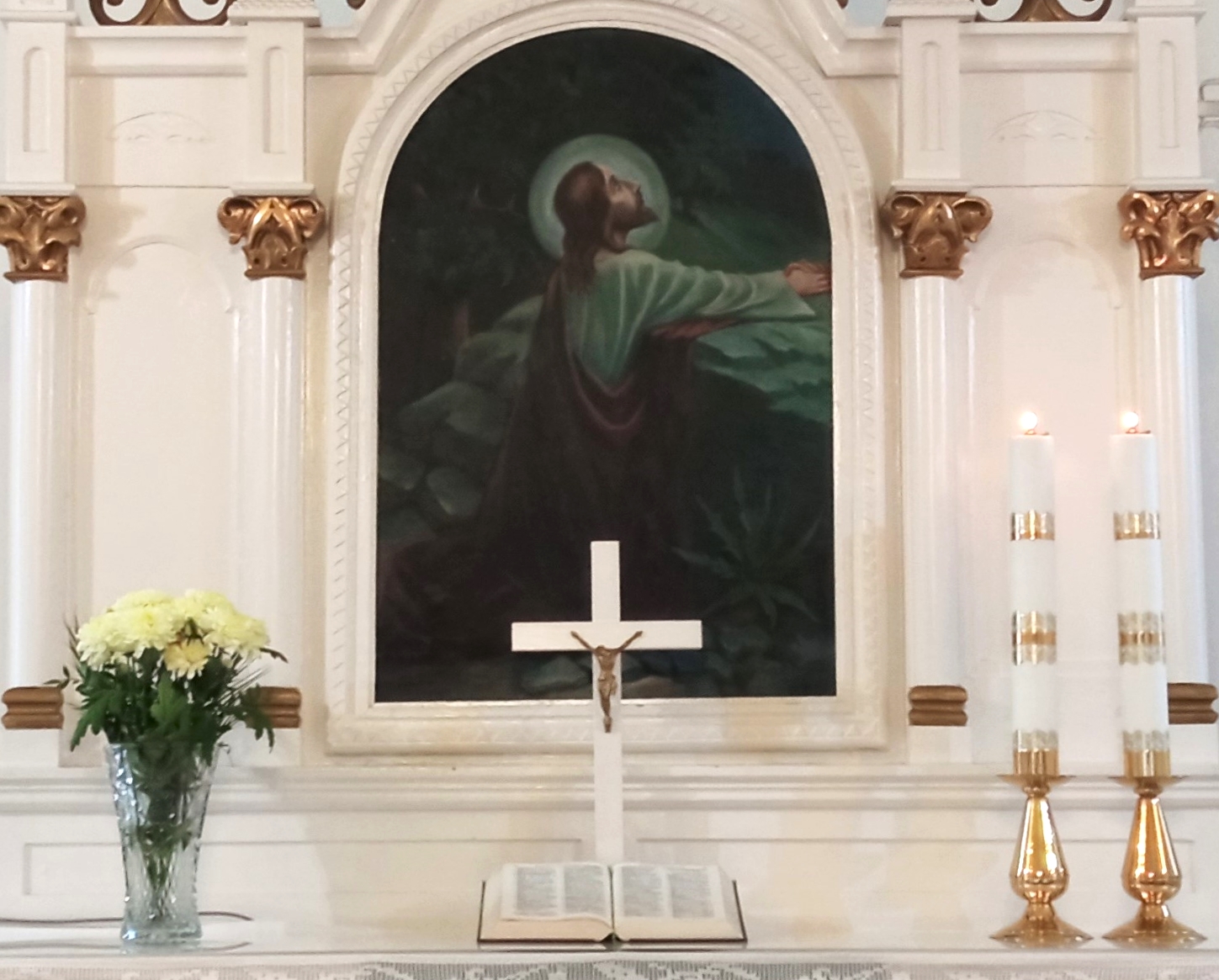 Dzieli nas tylko ostrokrzew