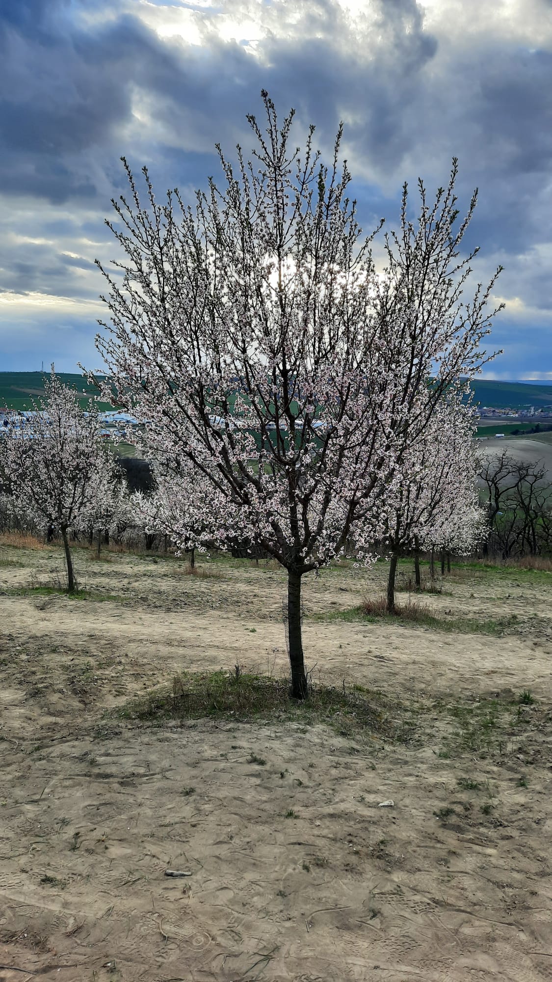 Bóg, który nie może się doczekać