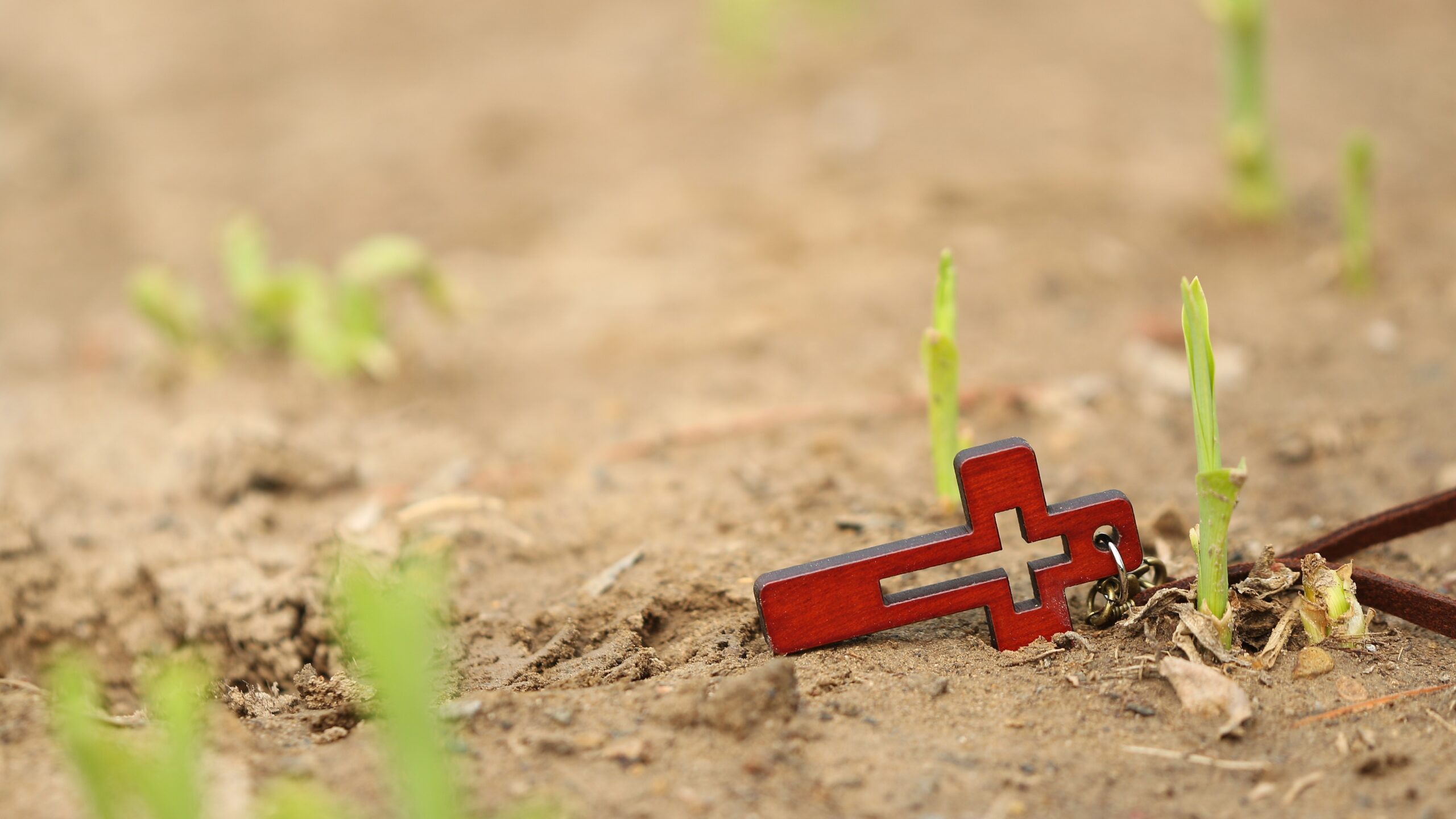 Likwidacja miejsca grobowego? Nie – likwidacja śmierci!